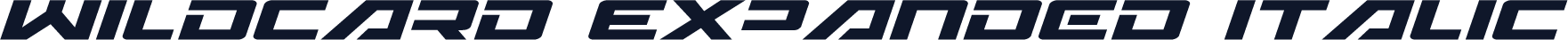 Wildcard Expanded Italic