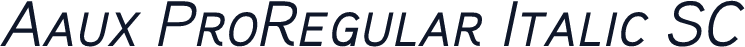 Aaux ProRegular Italic SC