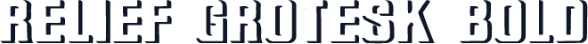 Relief Grotesk Bold
