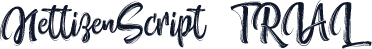 NettizenScript_TRIAL