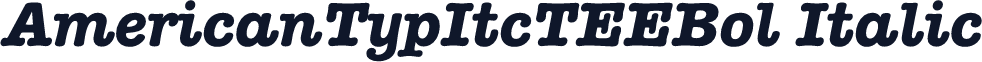 AmericanTypItcTEEBol Italic