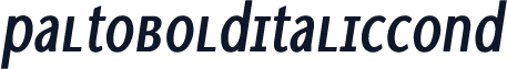 PaltoBolditaliccond