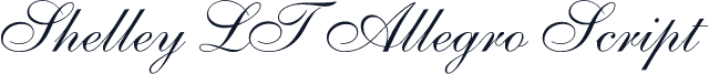 Shelley LT Allegro Script