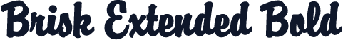 Brisk Extended Bold