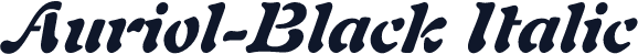 Auriol-Black Italic