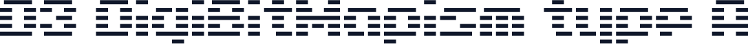 D3 DigiBitMapism type A