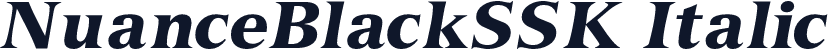NuanceBlackSSK Italic
