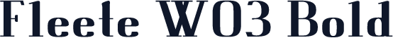 Fleete W03 Bold
