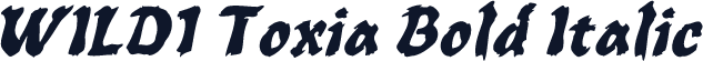 WILD1 Toxia Bold Italic