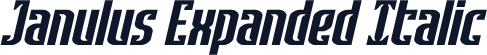 Janulus Expanded Italic