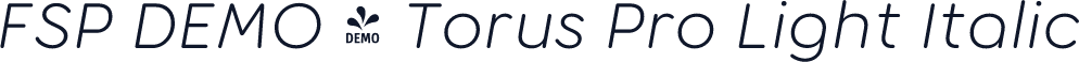FSP DEMO - Torus Pro Light Italic