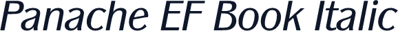 Panache EF Book Italic