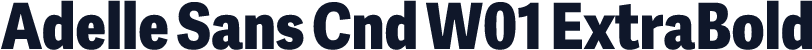 Adelle Sans Cnd W01 ExtraBold