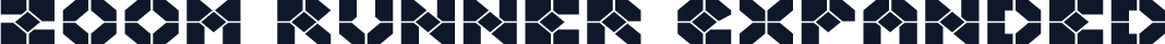 Zoom Runner Expanded