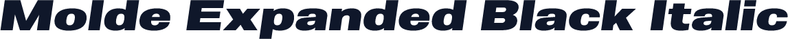 Molde Expanded Black Italic