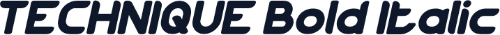 TECHNIQUE Bold Italic