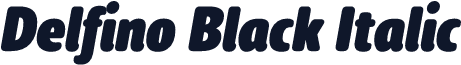 Delfino Black Italic