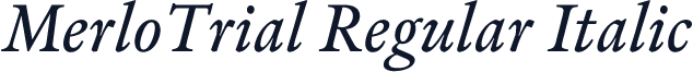 MerloTrial Regular Italic