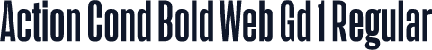 Action Cond Bold Web Gd 1 Regular