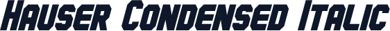 Hauser Condensed Italic