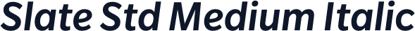 Slate Std Medium Italic