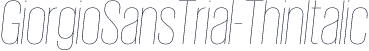 GiorgioSansTrial-ThinItalic