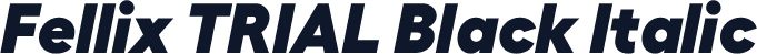 Fellix TRIAL Black Italic