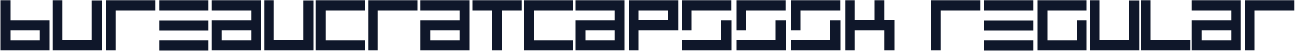 BureaucratCapsSSK Regular