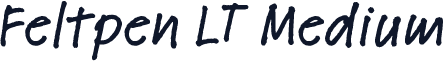 Feltpen LT Medium