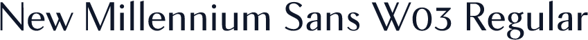 New Millennium Sans W03 Regular