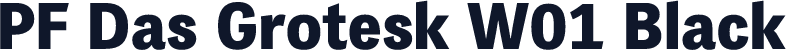 PF Das Grotesk W01 Black
