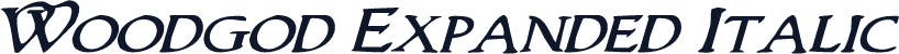 Woodgod Expanded Italic