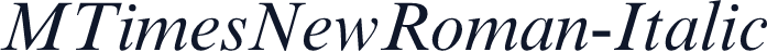 MTimesNewRoman-Italic