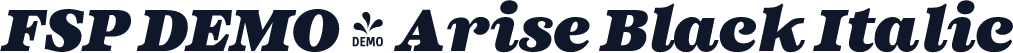 FSP DEMO - Arise Black Italic