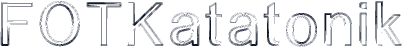 FOTKatatonik