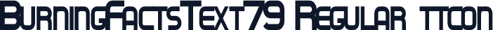 BurningFactsText79 Regular ttcon