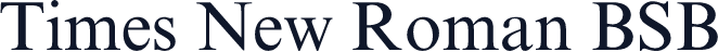 Times New Roman BSB