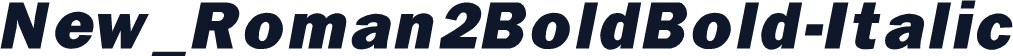 New_Roman2BoldBold-Italic