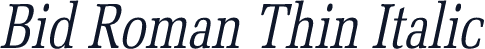 Bid Roman Thin Italic