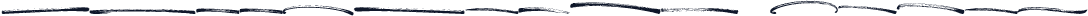 Spoodbrush Extra