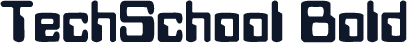 TechSchool Bold
