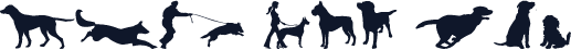 can dog tfb