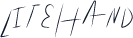 LiteHand
