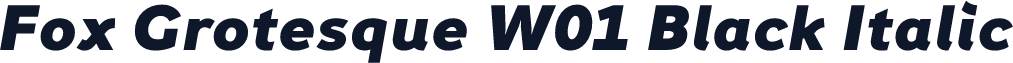 Fox Grotesque W01 Black Italic
