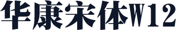 华康宋体W12