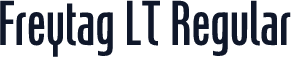 Freytag LT Regular