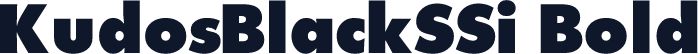 KudosBlackSSi Bold