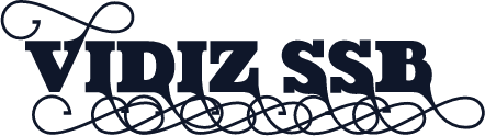 VIDIZ ssB
