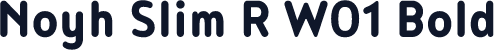 Noyh Slim R W01 Bold