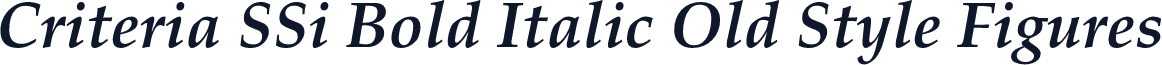 Criteria SSi Bold Italic Old Style Figures